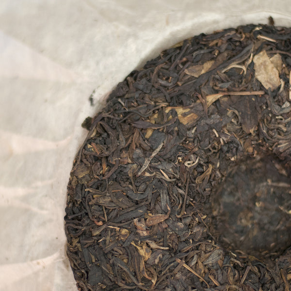 2009 BaDa Wild (巴達野)