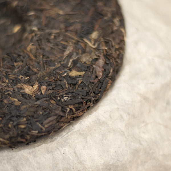 2009 BaDa Wild (巴達野)